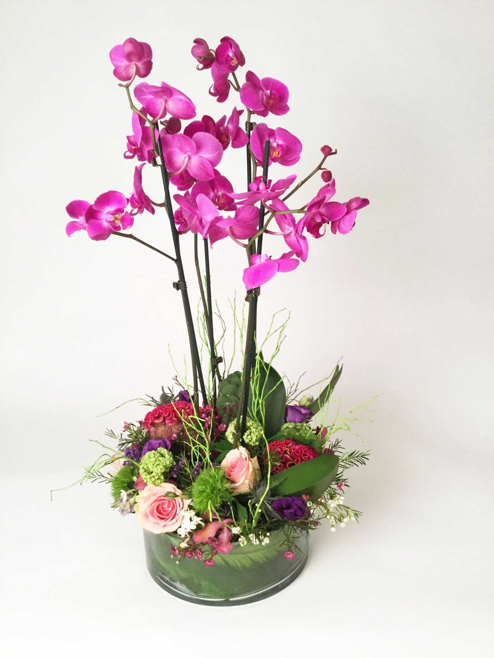 Phalaenopsis Orchids, Roses and Celosia