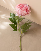 Artificial Peony Stem - Pink