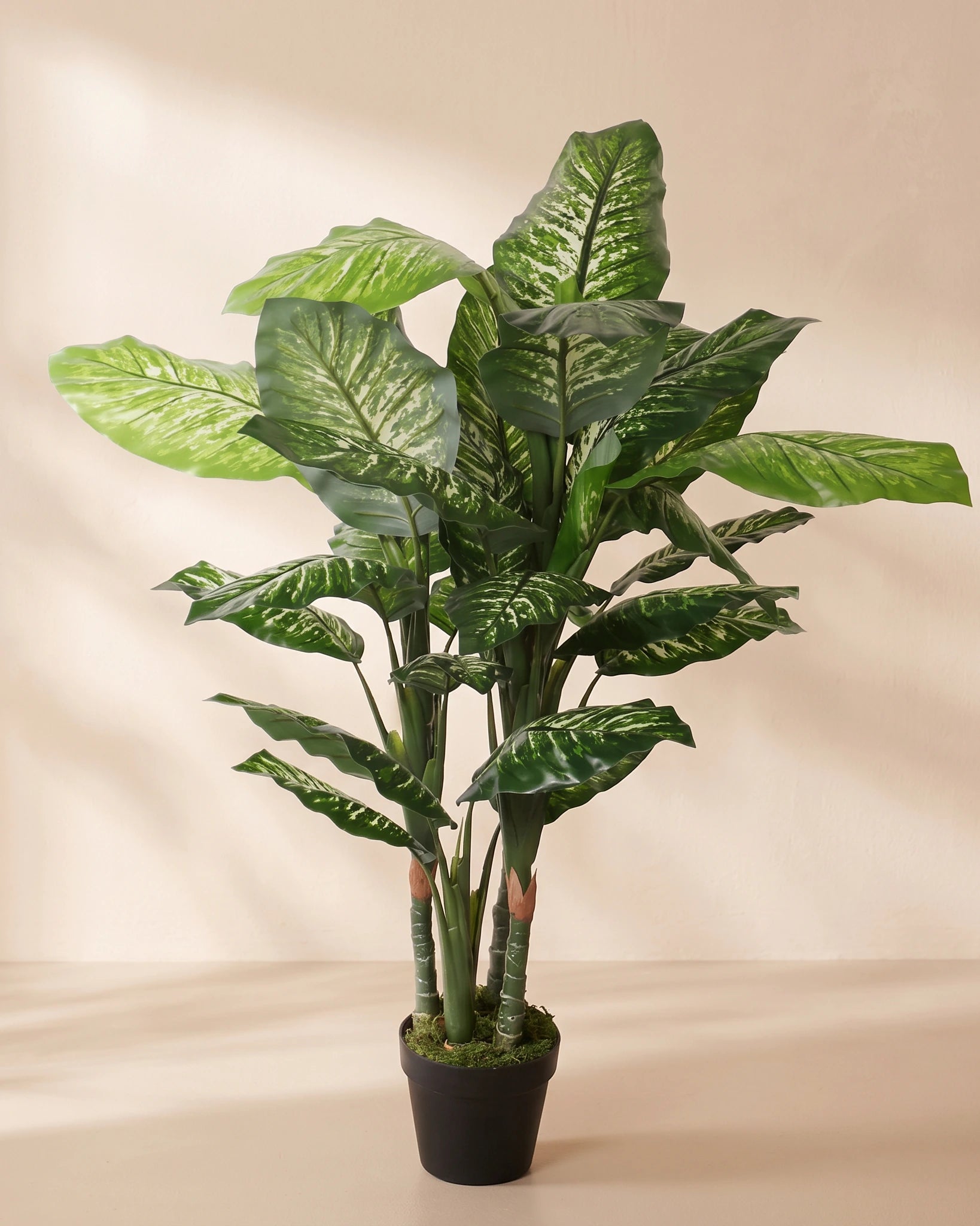 Artificial Dieffenbachia in Pot - Default Title