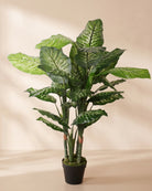 Artificial Dieffenbachia in Pot - Default Title
