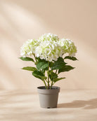 Artificial Hydrangea in Pot, Stan Grey - Default Title