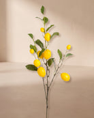 Artificial Lemon Branch - Default Title