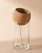 Self-Watering Glass Planter - Large (21 x 10 cm)
