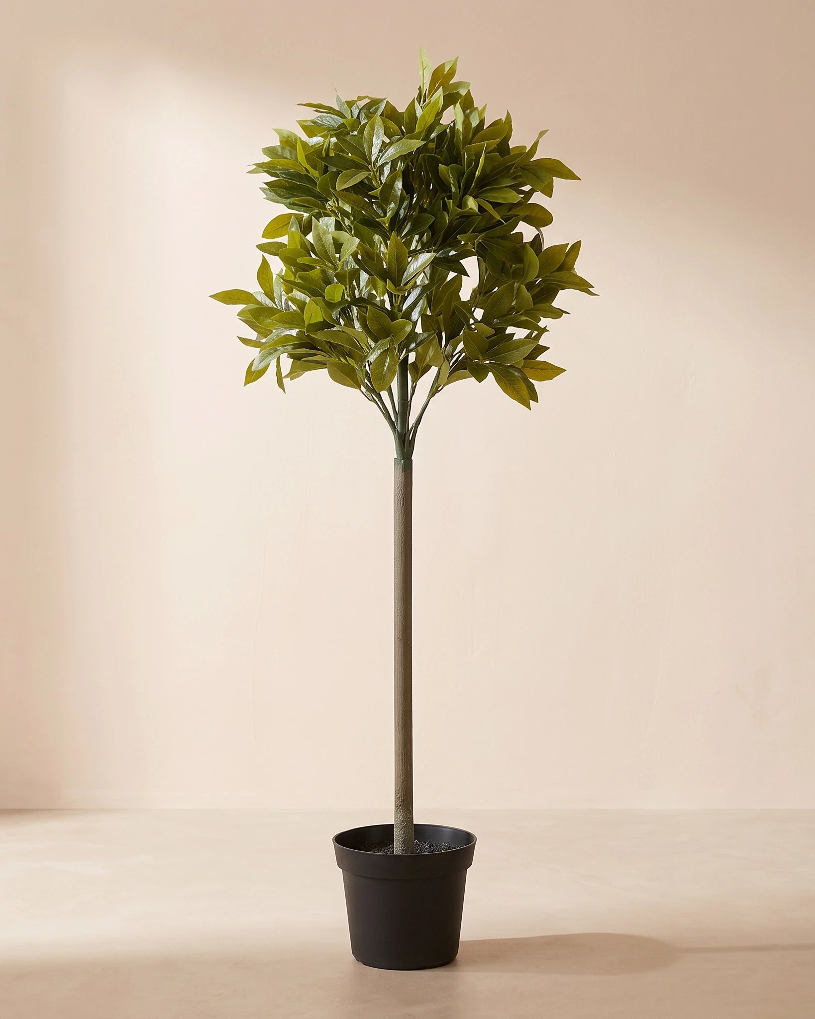Artificial Laurel Standard Tree - Default Title