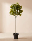 Artificial Laurel Standard Tree - Default Title
