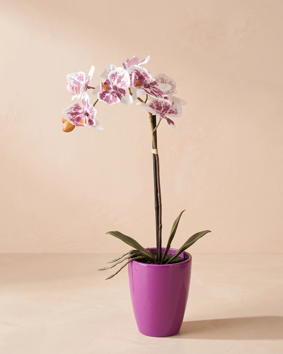 Artificial Phalaenopsis Orchid in Pot - Purple