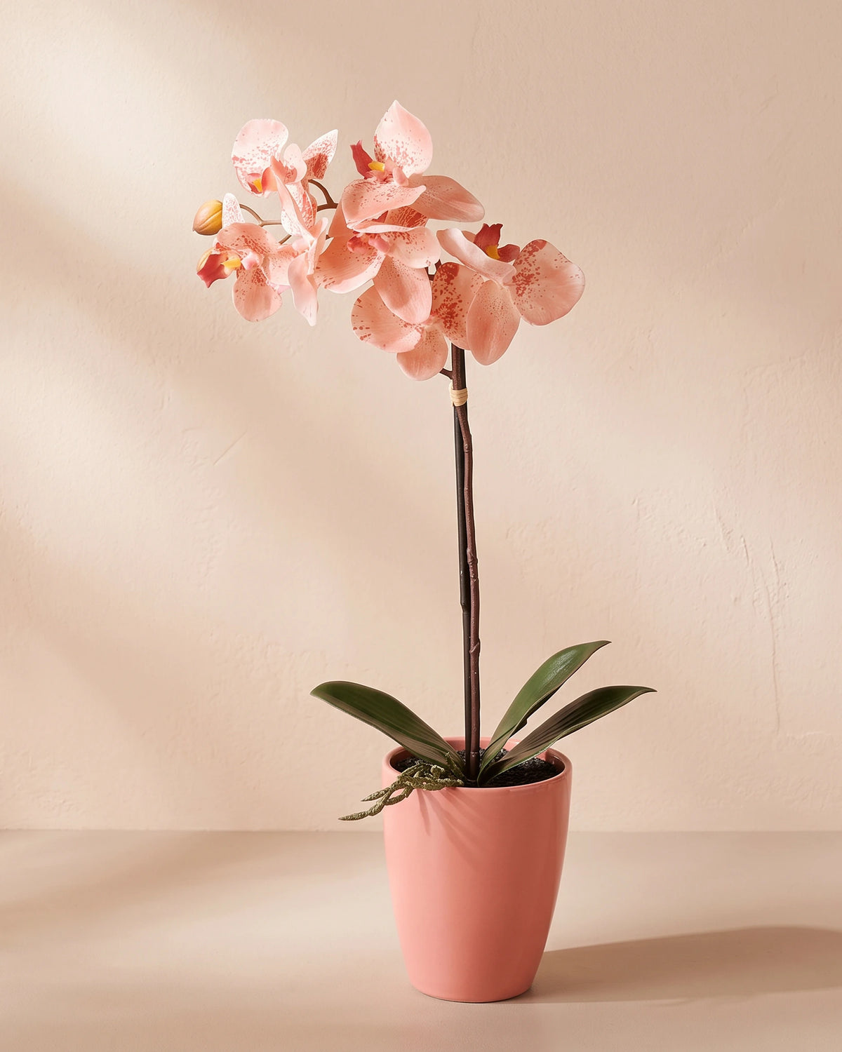 Artificial Phalaenopsis Orchid in Pot - Peach