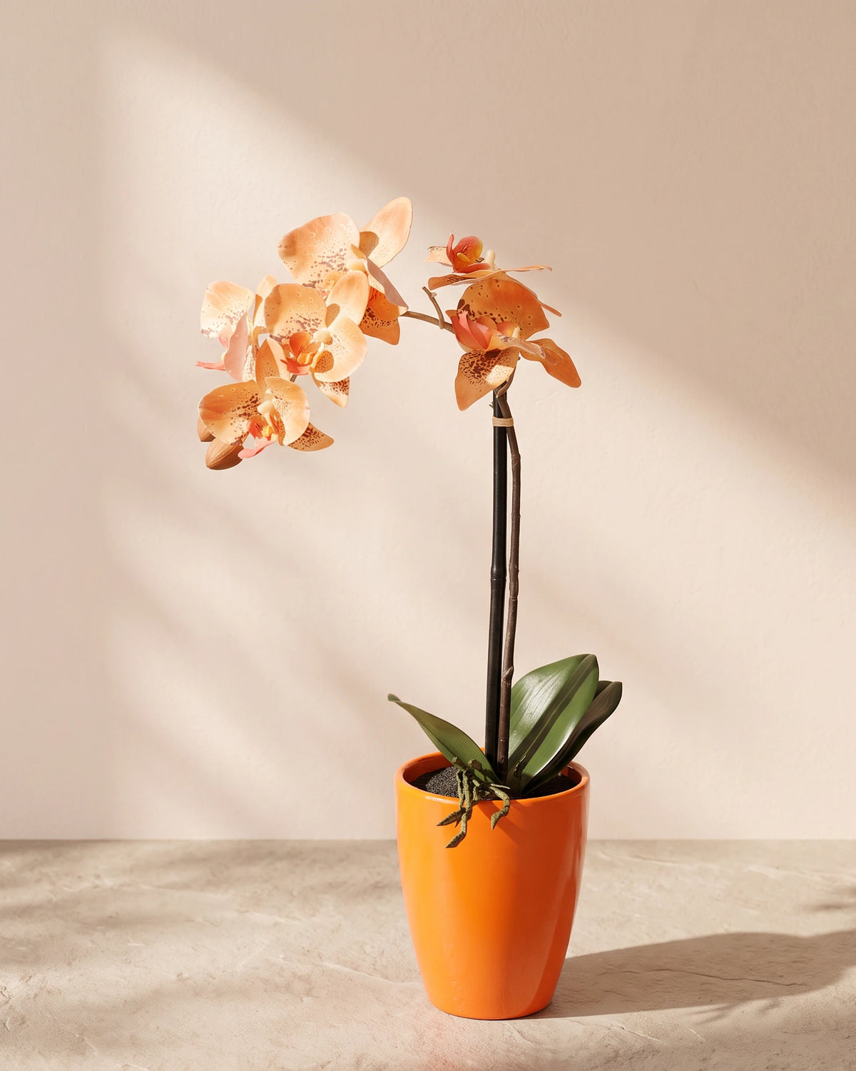 Artificial Phalaenopsis Orchid in Pot - Orange