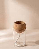 Self-Watering Glass Planter - Small (12.5 x 7 cm)