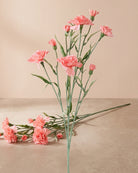 Artificial Carnation Stem - Salmon