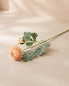 Artificial Ranunculus Stem - Peach
