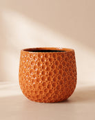 Drops Belly Pot Orange