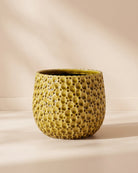 Drops Belly Pot Yellow