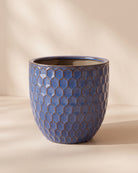 Carol Egg Pot Blue