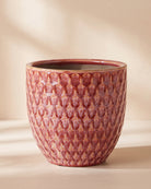 Carol Egg Pot Pink