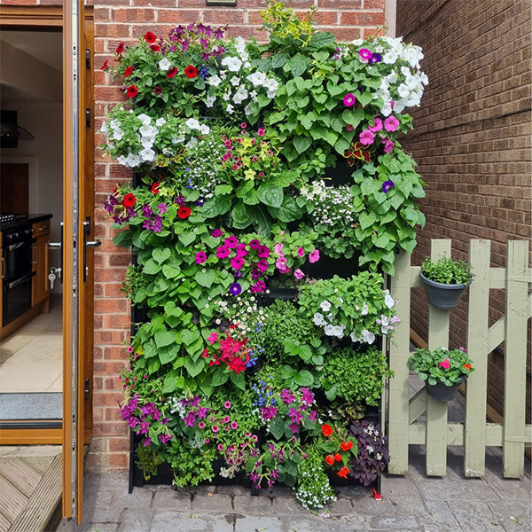 DIY Greenwall PlantBlox, Vertical Gardening