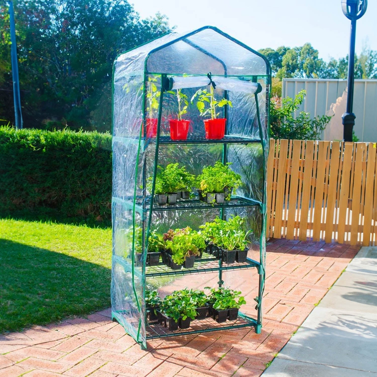 4 Tier Green House - Acacia Garden Center