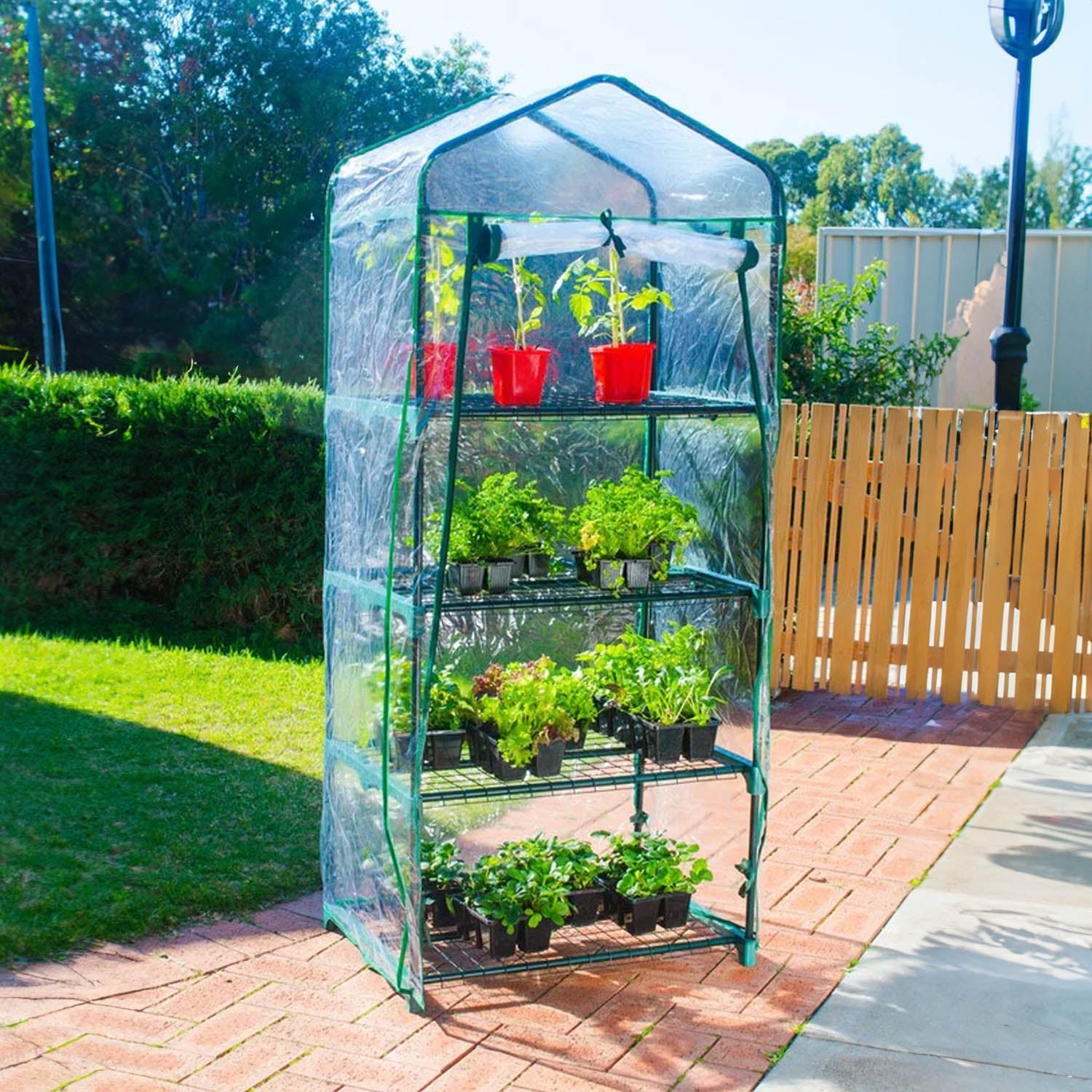 4 Tier Green House - Acacia Garden Center