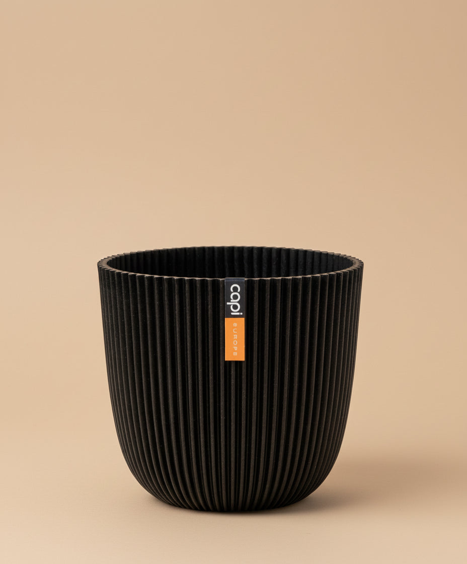 وعاء زراعة كروي من كابي أوروبا