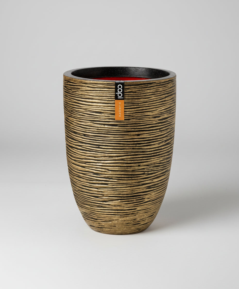 مزهرية كابي أوروبا الأنيقة ذات الأضلاع المنخفضة - أسود ذهبي