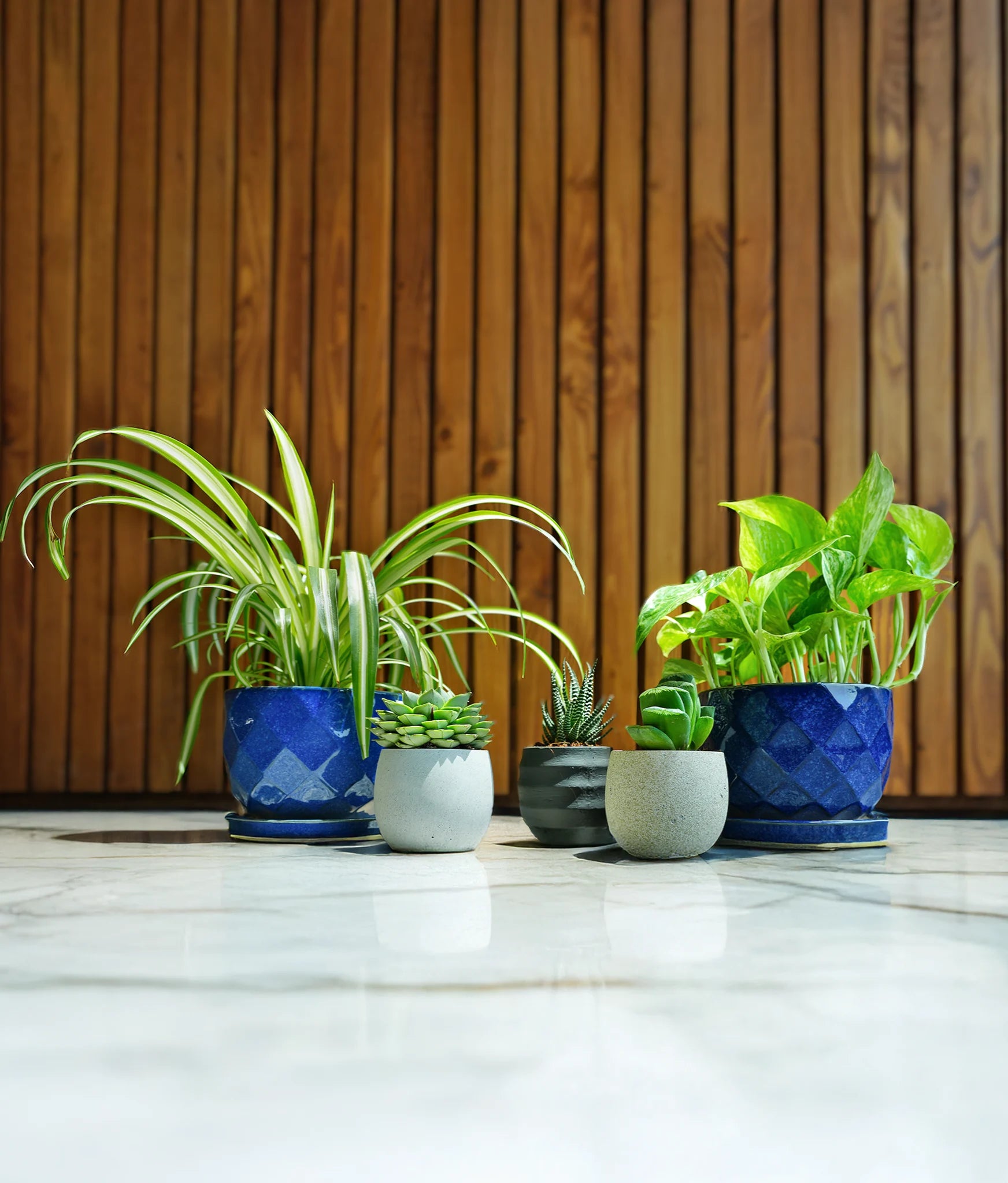 Beginner Friendly Mini Bundle