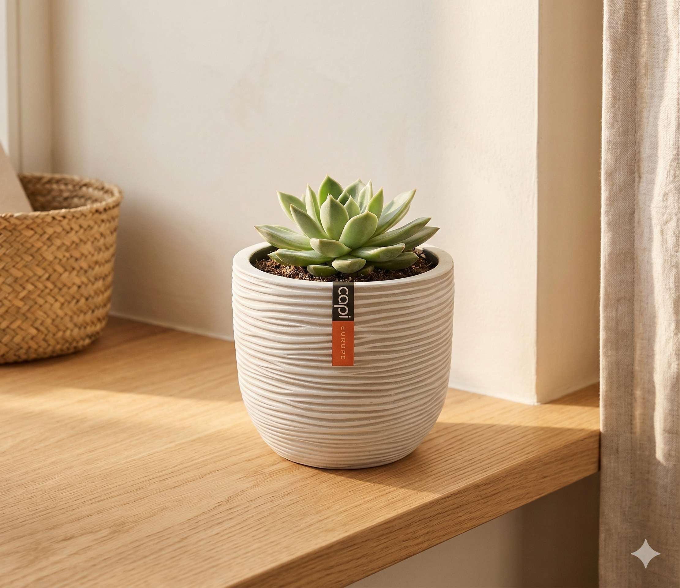 Capi Europe Egg Planter BOFI 132