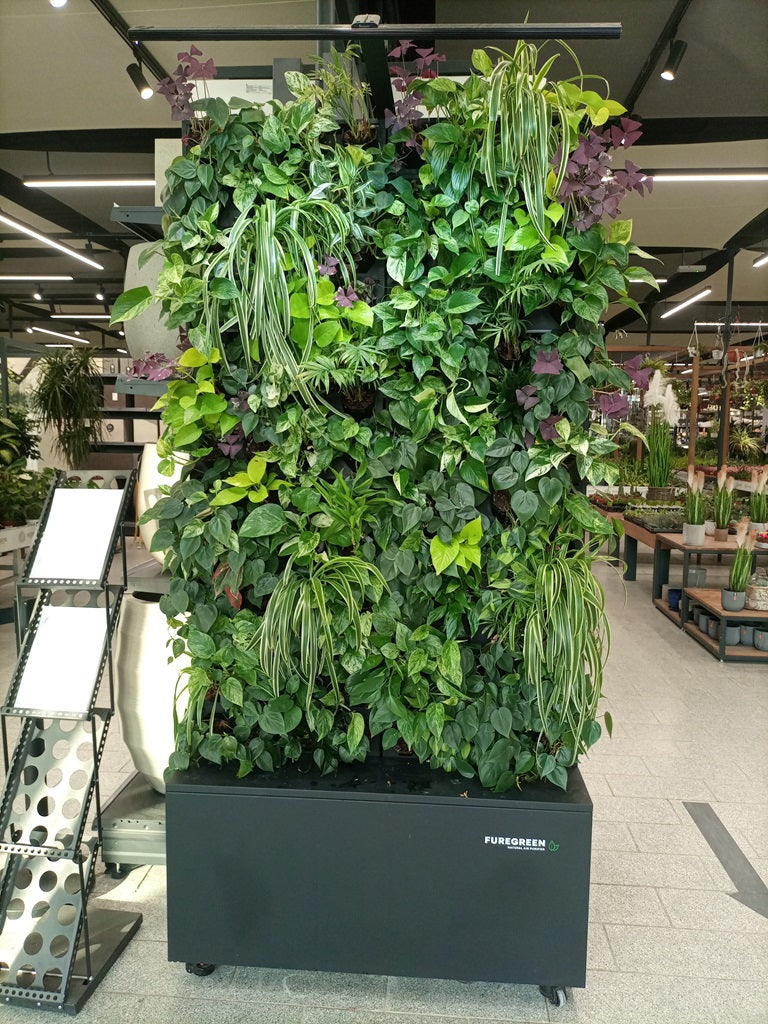 Furegreen Air Purifier Planter