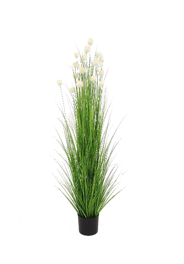 Artificial 72"H Pompon Grass with Plastic Pot, 1.8M-(7015)