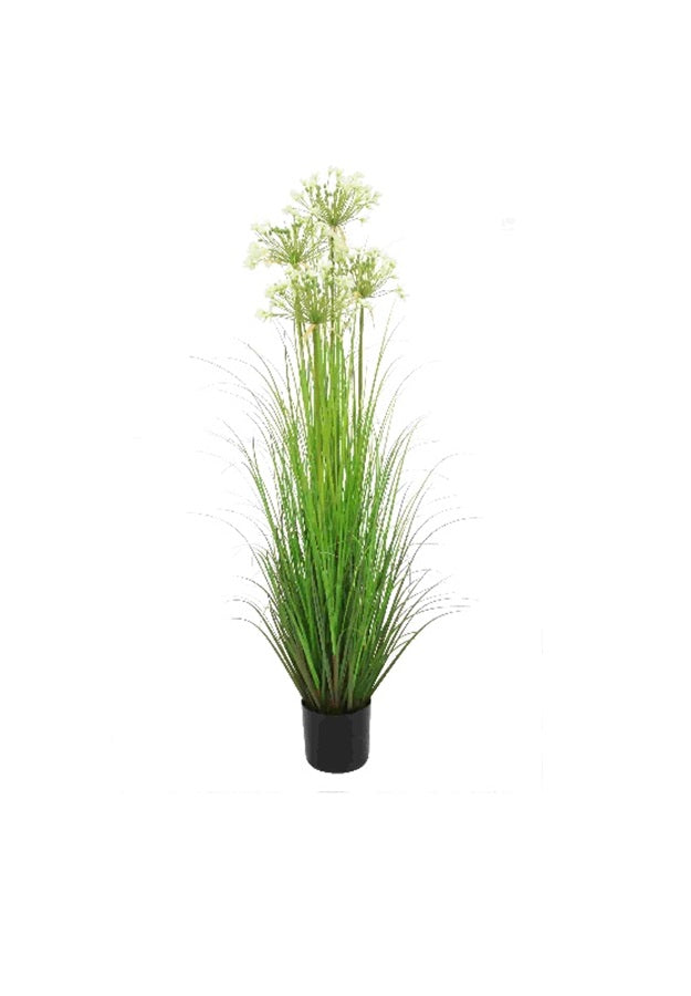 Artificial 55"H Leek Flower Grass with Plastic Pot, 1.37M - (6255)