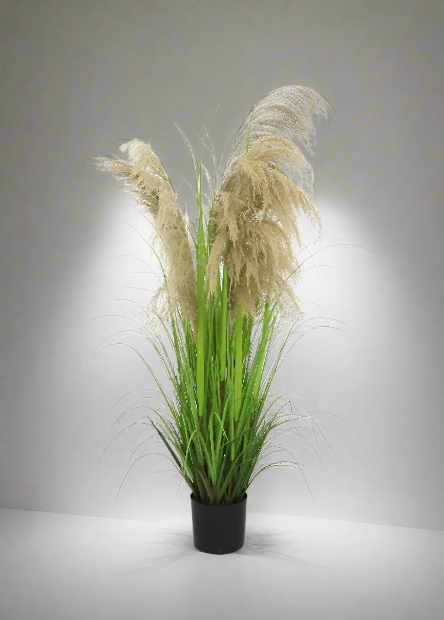 Artificial 60"H Dried Pampass Grass with Plastic Pot, 1.5M - (B0206)