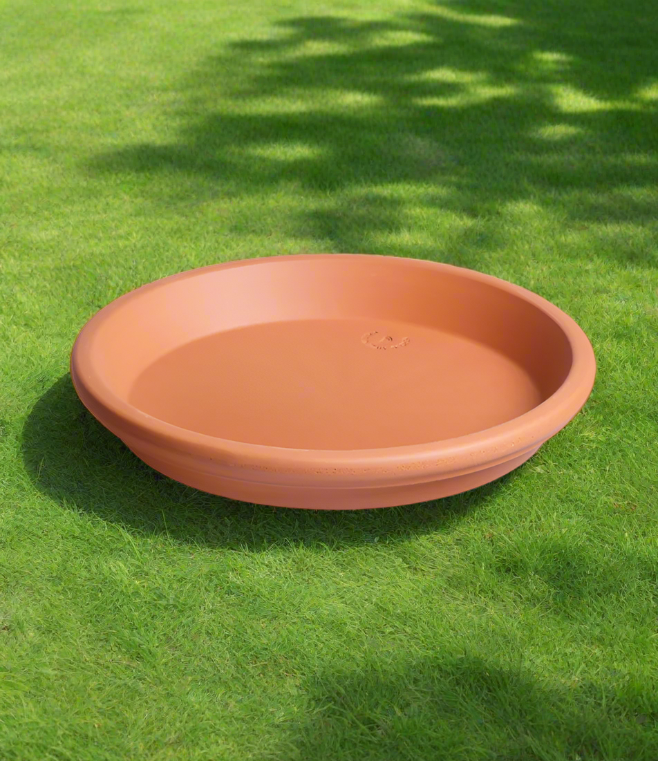 Degrea Sottovaso Imp. (Wtrres Saucer)