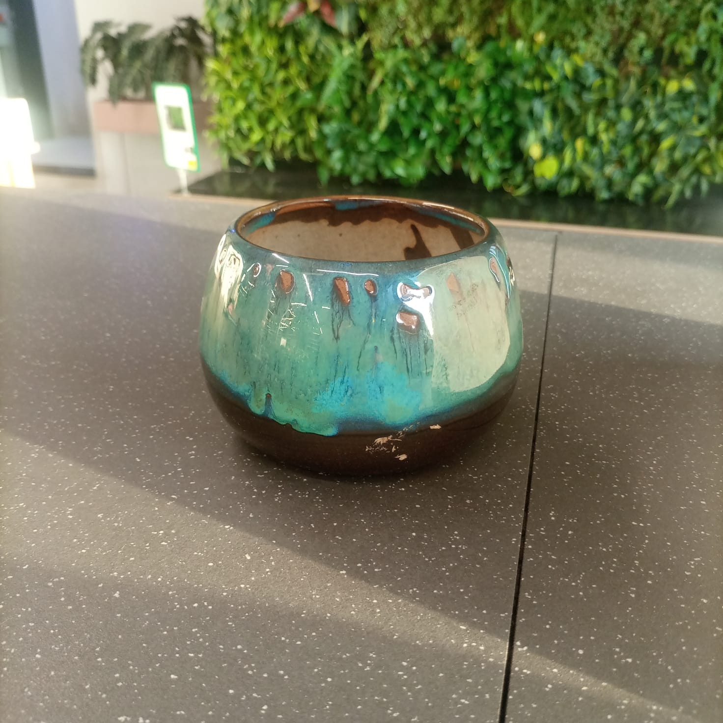 Ceramic Pot