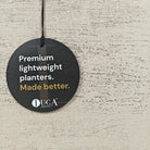 Areca Palm (Chrysalidocarpus/Dypsis lutescens) | 90 - 100 cm - Acacia Garden Center