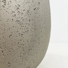 Areca Palm (Chrysalidocarpus/Dypsis lutescens) | 90 - 100 cm - Acacia Garden Center