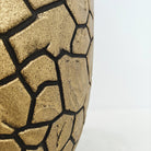 Areca Palm (Dypsis Lutescens) | Medium, 90–100 cm - Acacia Garden Center
