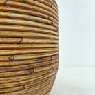 Areca Palm (Dypsis Lutescens) | Medium, 90–100 cm - Acacia Garden Center