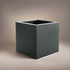 Argento Cube - Acacia Garden Center