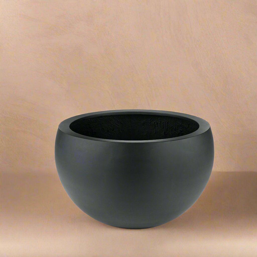 Argento Elena Anthracite - Acacia Garden Center