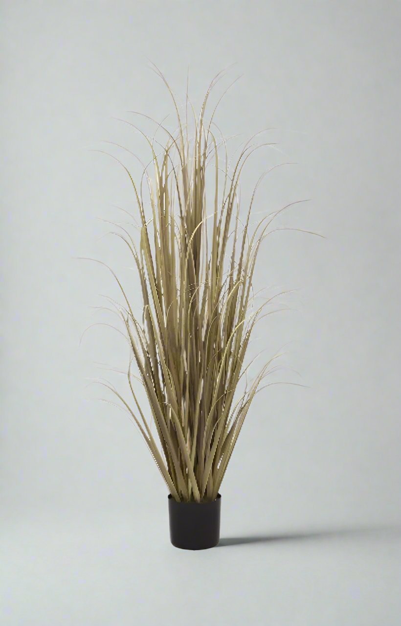 Artificial 60"H Dried Grass with Plastic Pot, 1.5M - (7076) - Acacia Garden Center