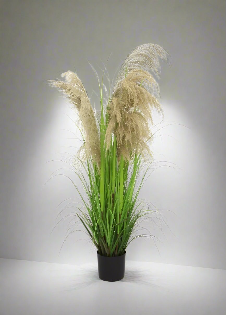 Artificial 60"H Dried Pampass Grass with Plastic Pot, 1.5M - (B0206) - Acacia Garden Center
