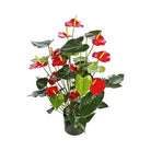 Artificial Anthurium (R019 - 1) 70cm (OAH) - Acacia Garden Center