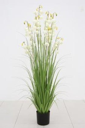 Artificial Lantern Flowers Grass | Plastic Pot - Acacia Garden Center