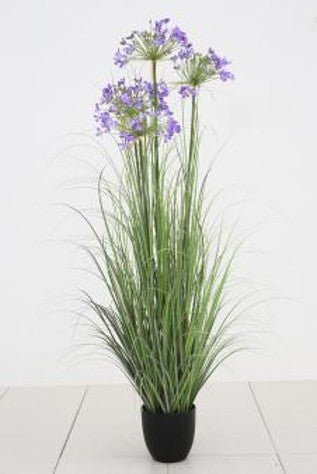 Artificial Leek Flower Grass | Plastic Pot | 55" - Acacia Garden Center