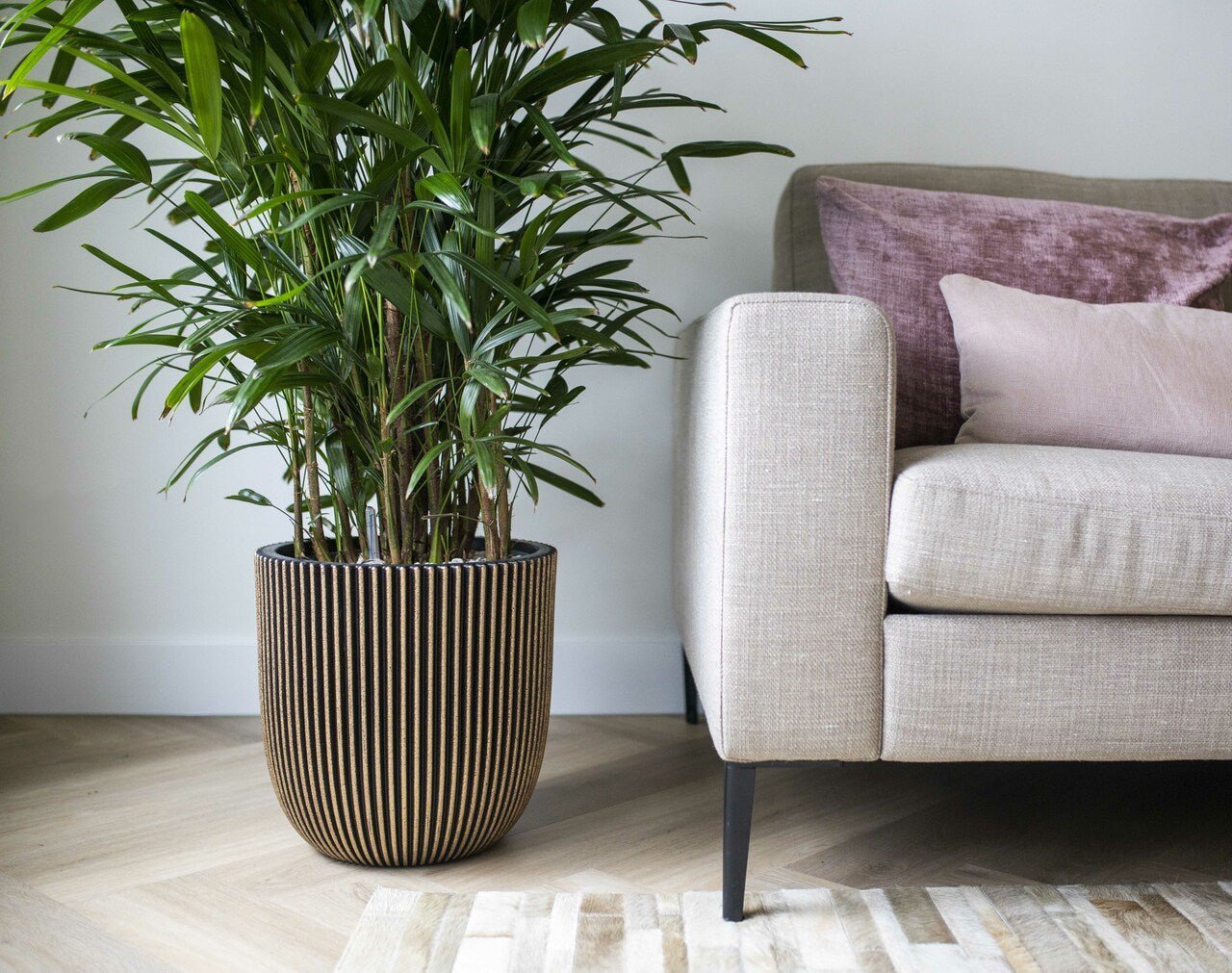 Ball Groove Planter | Multiple Sizes - Acacia Garden Center