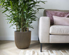 Ball Groove Planter | Multiple Sizes - Acacia Garden Center
