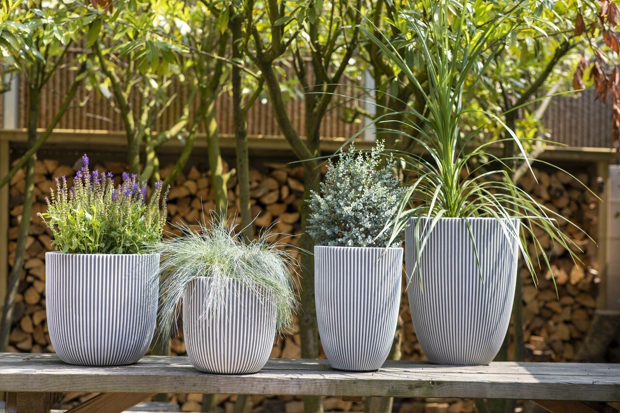 Ball Groove Planter | Multiple Sizes - Acacia Garden Center