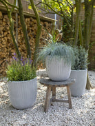 Ball Groove Planter | Multiple Sizes - Acacia Garden Center