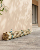Bamboo Stick (Per Stick) - Acacia Garden Center