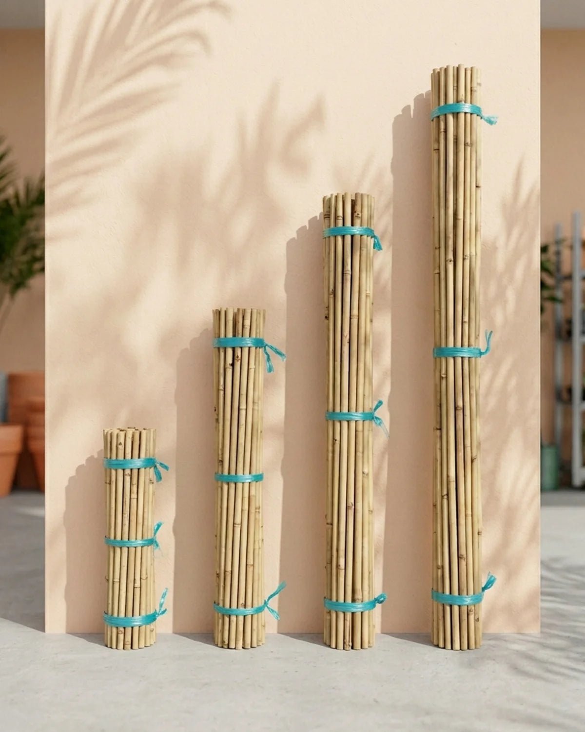 Bamboo Stick (Per Stick) - Acacia Garden Center