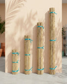 Bamboo Stick (Per Stick) - Acacia Garden Center